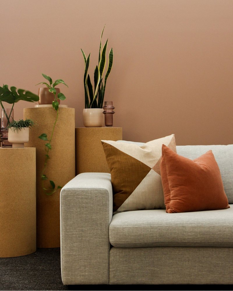 A calm living room with a sofa and plants